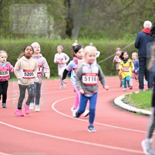 13.04.2025 - Hammer Lauf Dr. Thomas Lammeyer http://msf.ph/oto/7627014 13.04.2025 09:02:12 Laufen 5225, 5205, 5, 5116, 5120 meine-sportfotos.de
