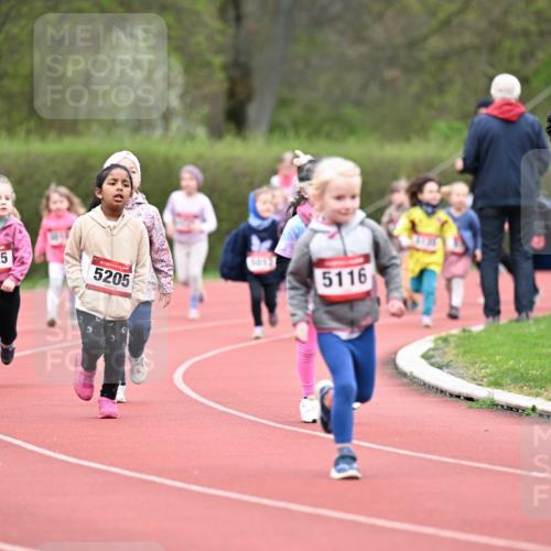 13.04.2025 - Hammer Lauf Dr. Thomas Lammeyer http://msf.ph/oto/7627016 13.04.2025 09:02:12 Laufen 5225, 15, 5205, 5116 meine-sportfotos.de