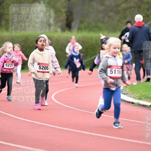13.04.2025 - Hammer Lauf Dr. Thomas Lammeyer http://msf.ph/oto/7627019 13.04.2025 09:02:12 Laufen 031, 5225, 5205, 5116 meine-sportfotos.de