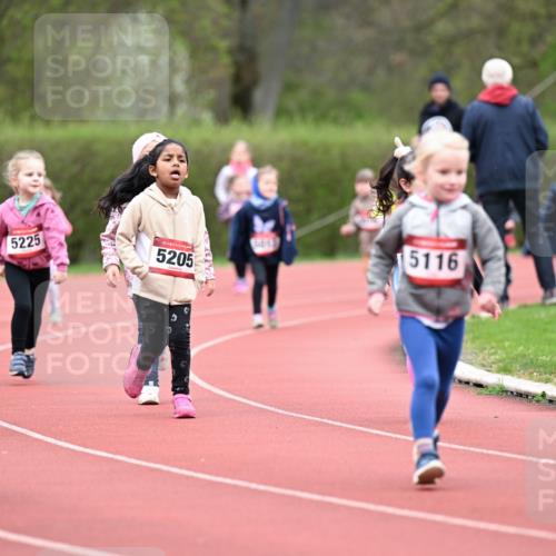 13.04.2025 - Hammer Lauf Dr. Thomas Lammeyer http://msf.ph/oto/7627021 13.04.2025 09:02:12 Laufen 031, 5225, 15, 5205, 5116 meine-sportfotos.de