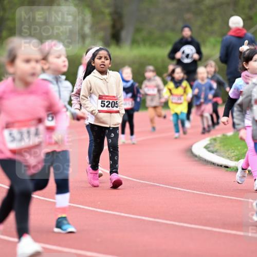 13.04.2025 - Hammer Lauf Dr. Thomas Lammeyer http://msf.ph/oto/7627025 13.04.2025 09:02:13 Laufen 530, 5314, 15, 5205, 5116 meine-sportfotos.de