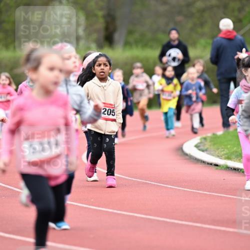 13.04.2025 - Hammer Lauf Dr. Thomas Lammeyer http://msf.ph/oto/7627026 13.04.2025 09:02:13 Laufen 5308, 5314, 5116, 205 meine-sportfotos.de