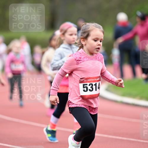 13.04.2025 - Hammer Lauf Dr. Thomas Lammeyer http://msf.ph/oto/7627027 13.04.2025 09:02:13 Laufen 15, 5314, 5 meine-sportfotos.de