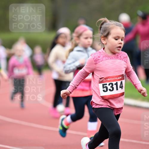 13.04.2025 - Hammer Lauf Dr. Thomas Lammeyer http://msf.ph/oto/7627028 13.04.2025 09:02:13 Laufen 15, 5314 meine-sportfotos.de