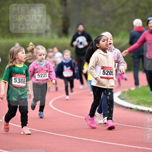 13.04.2025 - Hammer Lauf Dr. Thomas Lammeyer http://msf.ph/oto/7627032 13.04.2025 09:02:14 Laufen 15, 5308, 5225, 15, 5205, 503 meine-sportfotos.de