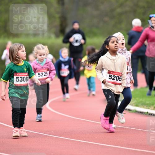 13.04.2025 - Hammer Lauf Dr. Thomas Lammeyer http://msf.ph/oto/7627034 13.04.2025 09:02:14 Laufen 15, 5308, 5225, 15, 5205, 36 meine-sportfotos.de