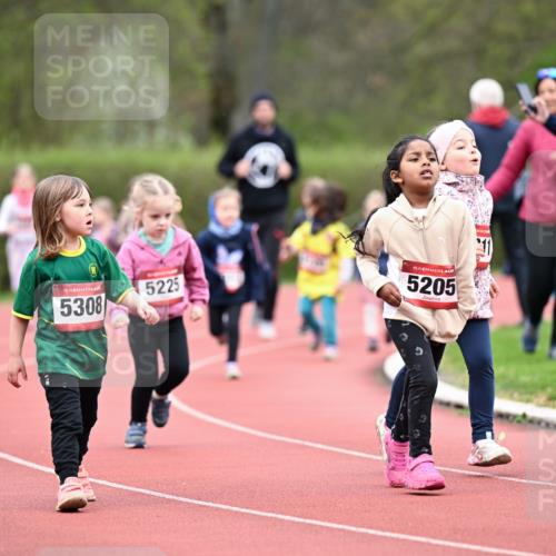 13.04.2025 - Hammer Lauf Dr. Thomas Lammeyer http://msf.ph/oto/7627035 13.04.2025 09:02:14 Laufen 15, 5308, 5225, 15, 5205 meine-sportfotos.de