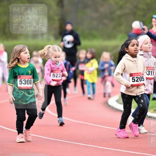 13.04.2025 - Hammer Lauf Dr. Thomas Lammeyer http://msf.ph/oto/7627037 13.04.2025 09:02:14 Laufen 15, 5308, 522, 15, 5205, 311 meine-sportfotos.de