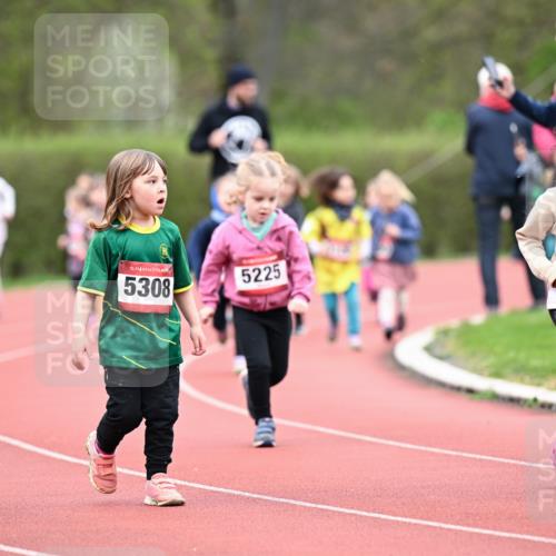 13.04.2025 - Hammer Lauf Dr. Thomas Lammeyer http://msf.ph/oto/7627039 13.04.2025 09:02:15 Laufen 15, 5308, 5225, 15, 5205, 1 meine-sportfotos.de