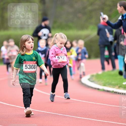13.04.2025 - Hammer Lauf Dr. Thomas Lammeyer http://msf.ph/oto/7627041 13.04.2025 09:02:15 Laufen 15, 5308, 522, 15, 5205, 15, 5311 meine-sportfotos.de