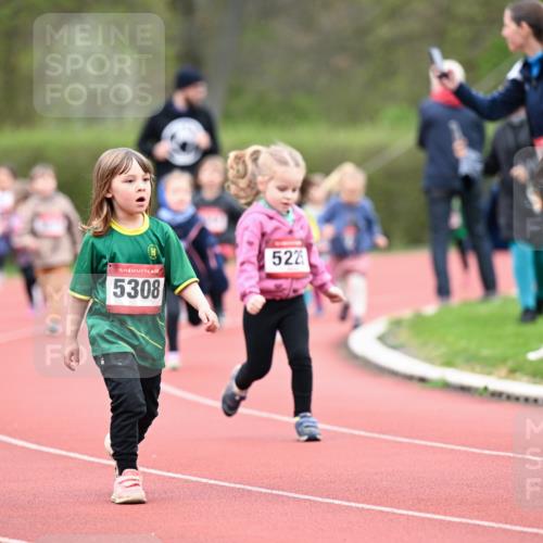 13.04.2025 - Hammer Lauf Dr. Thomas Lammeyer http://msf.ph/oto/7627042 13.04.2025 09:02:15 Laufen 15, 5308, 522, 15, 5205 meine-sportfotos.de