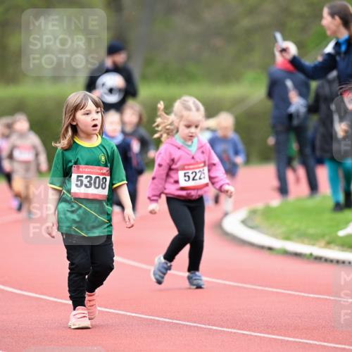 13.04.2025 - Hammer Lauf Dr. Thomas Lammeyer http://msf.ph/oto/7627043 13.04.2025 09:02:15 Laufen 15, 5308, 522, 5 meine-sportfotos.de