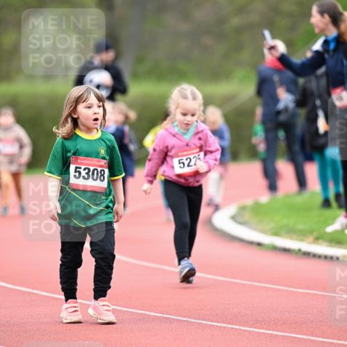 13.04.2025 - Hammer Lauf Dr. Thomas Lammeyer http://msf.ph/oto/7627044 13.04.2025 09:02:15 Laufen 15, 5308, 522 meine-sportfotos.de