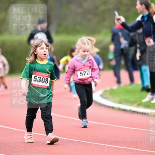13.04.2025 - Hammer Lauf Dr. Thomas Lammeyer http://msf.ph/oto/7627045 13.04.2025 09:02:15 Laufen 15, 5308, 5225 meine-sportfotos.de