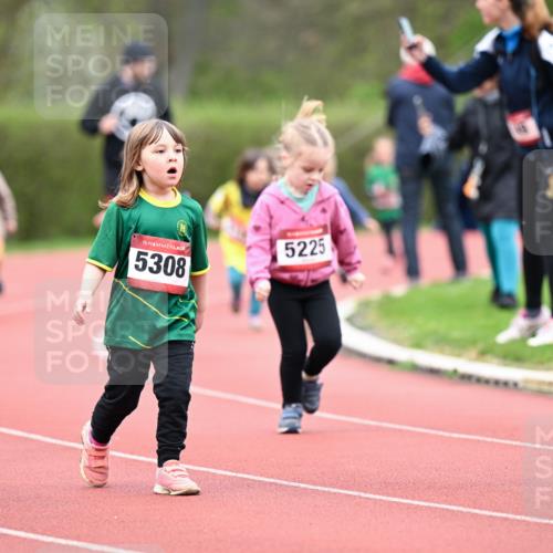 13.04.2025 - Hammer Lauf Dr. Thomas Lammeyer http://msf.ph/oto/7627046 13.04.2025 09:02:16 Laufen 15, 5308, 5225 meine-sportfotos.de