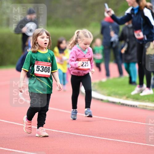 13.04.2025 - Hammer Lauf Dr. Thomas Lammeyer http://msf.ph/oto/7627047 13.04.2025 09:02:16 Laufen 15, 5308, 225 meine-sportfotos.de