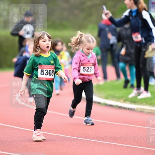 13.04.2025 - Hammer Lauf Dr. Thomas Lammeyer http://msf.ph/oto/7627048 13.04.2025 09:02:16 Laufen 15, 5308, 522 meine-sportfotos.de