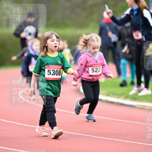 13.04.2025 - Hammer Lauf Dr. Thomas Lammeyer http://msf.ph/oto/7627049 13.04.2025 09:02:16 Laufen 15, 5308, 522 meine-sportfotos.de