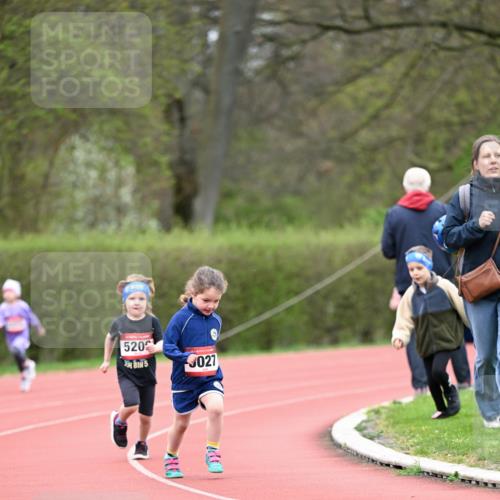 13.04.2025 - Hammer Lauf Dr. Thomas Lammeyer http://msf.ph/oto/7627168 13.04.2025 09:02:32 Laufen 520, 5, 027 meine-sportfotos.de