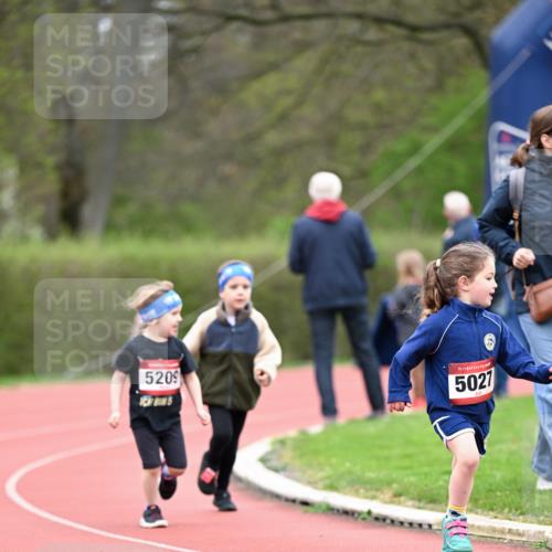 13.04.2025 - Hammer Lauf Dr. Thomas Lammeyer http://msf.ph/oto/7627185 13.04.2025 09:02:34 Laufen 5209, 15, 5027 meine-sportfotos.de
