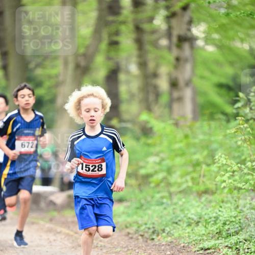 13.04.2025 - Hammer Lauf Dr. Thomas Lammeyer http://msf.ph/oto/7628610 13.04.2025 09:22:24 Laufen 672, 1528, 40 meine-sportfotos.de