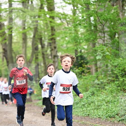 13.04.2025 - Hammer Lauf Dr. Thomas Lammeyer http://msf.ph/oto/7629160 13.04.2025 09:23:06 Laufen 925, 8, 15, 928 meine-sportfotos.de