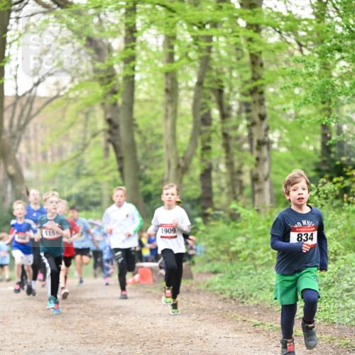 13.04.2025 - Hammer Lauf Dr. Thomas Lammeyer http://msf.ph/oto/7629195 13.04.2025 09:23:08 Laufen 1155, 1909, 15, 834 meine-sportfotos.de
