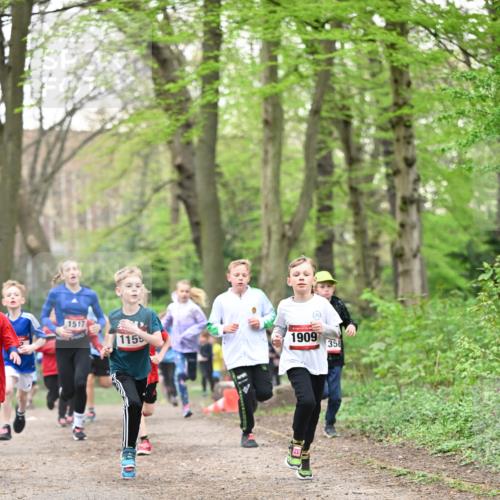 13.04.2025 - Hammer Lauf Dr. Thomas Lammeyer http://msf.ph/oto/7629206 13.04.2025 09:23:09 Laufen 1517, 1155, 1909, 358 meine-sportfotos.de