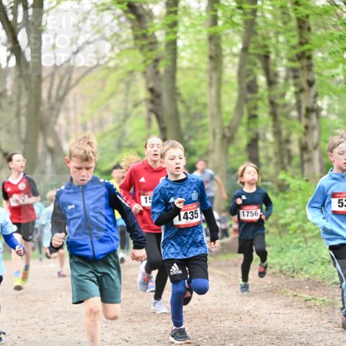 13.04.2025 - Hammer Lauf Dr. Thomas Lammeyer http://msf.ph/oto/7629322 13.04.2025 09:23:16 Laufen 15, 1435, 1756, 15, 53 meine-sportfotos.de