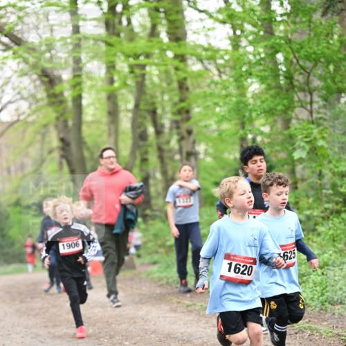 13.04.2025 - Hammer Lauf Dr. Thomas Lammeyer http://msf.ph/oto/7629387 13.04.2025 09:23:21 Laufen 1906, 15, 1620, 625 meine-sportfotos.de