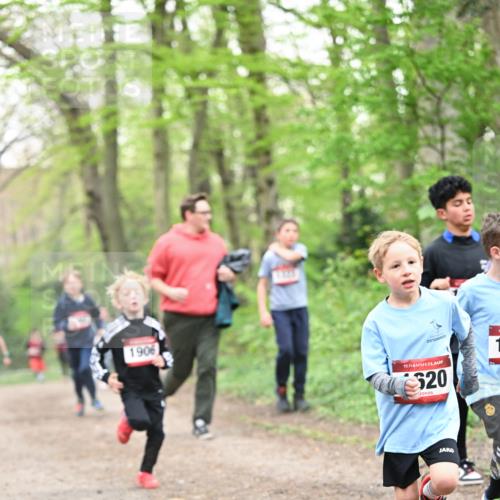 13.04.2025 - Hammer Lauf Dr. Thomas Lammeyer http://msf.ph/oto/7629395 13.04.2025 09:23:22 Laufen 1906, 15, 520 meine-sportfotos.de