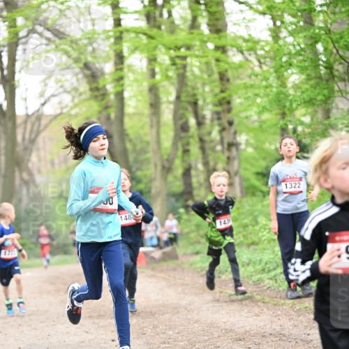 13.04.2025 - Hammer Lauf Dr. Thomas Lammeyer http://msf.ph/oto/7629427 13.04.2025 09:23:23 Laufen 1771, 148, 143, 1322 meine-sportfotos.de