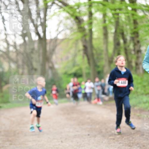 13.04.2025 - Hammer Lauf Dr. Thomas Lammeyer http://msf.ph/oto/7629451 13.04.2025 09:23:24 Laufen  meine-sportfotos.de