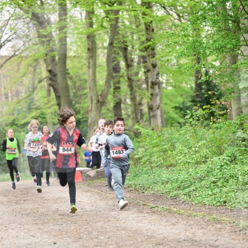 13.04.2025 - Hammer Lauf Dr. Thomas Lammeyer http://msf.ph/oto/7629518 13.04.2025 09:23:28 Laufen 1441, 1309, 944, 1493 meine-sportfotos.de