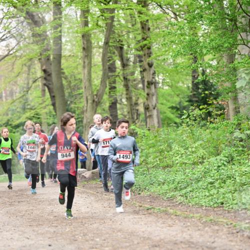 13.04.2025 - Hammer Lauf Dr. Thomas Lammeyer http://msf.ph/oto/7629521 13.04.2025 09:23:28 Laufen 11, 1441, 171, 309, 182, 944, 1493 meine-sportfotos.de