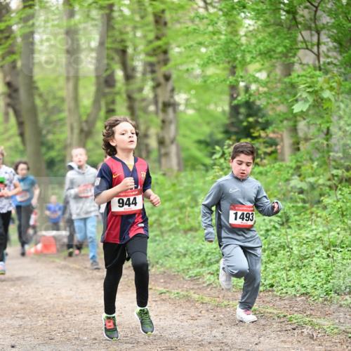 13.04.2025 - Hammer Lauf Dr. Thomas Lammeyer http://msf.ph/oto/7629546 13.04.2025 09:23:29 Laufen 944, 15, 1493 meine-sportfotos.de