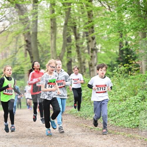13.04.2025 - Hammer Lauf Dr. Thomas Lammeyer http://msf.ph/oto/7629586 13.04.2025 09:23:30 Laufen 309, 12, 14, 859, 597, 1712 meine-sportfotos.de