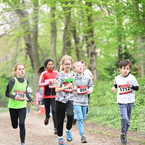 13.04.2025 - Hammer Lauf Dr. Thomas Lammeyer http://msf.ph/oto/7629607 13.04.2025 09:23:31 Laufen 15, 1209, 859, 15, 1712 meine-sportfotos.de