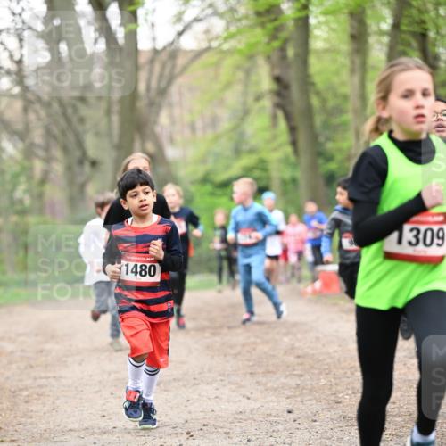 13.04.2025 - Hammer Lauf Dr. Thomas Lammeyer http://msf.ph/oto/7629635 13.04.2025 09:23:32 Laufen 1480, 1309 meine-sportfotos.de
