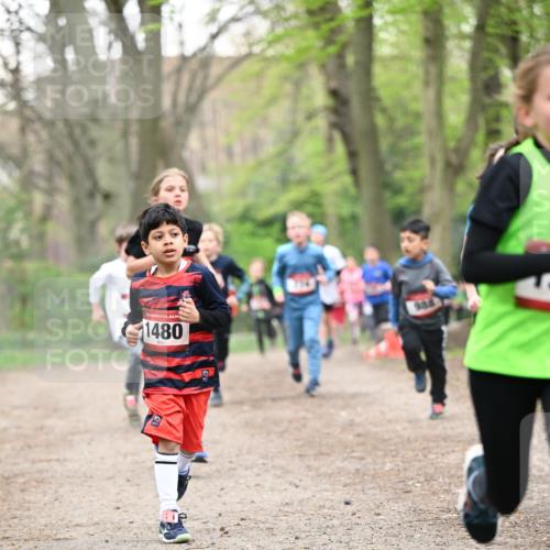 13.04.2025 - Hammer Lauf Dr. Thomas Lammeyer http://msf.ph/oto/7629640 13.04.2025 09:23:32 Laufen 1480, 985 meine-sportfotos.de