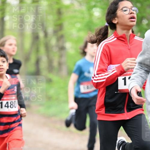 13.04.2025 - Hammer Lauf Dr. Thomas Lammeyer http://msf.ph/oto/7629680 13.04.2025 09:23:34 Laufen 1480, 1 meine-sportfotos.de