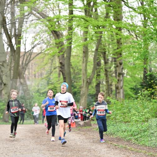 13.04.2025 - Hammer Lauf Dr. Thomas Lammeyer http://msf.ph/oto/7629714 13.04.2025 09:23:37 Laufen 1535, 888, 1415 meine-sportfotos.de
