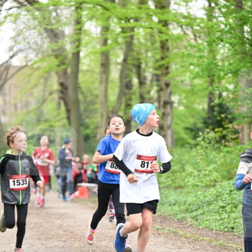 13.04.2025 - Hammer Lauf Dr. Thomas Lammeyer http://msf.ph/oto/7629748 13.04.2025 09:23:39 Laufen 1535, 80, 15, 81 meine-sportfotos.de