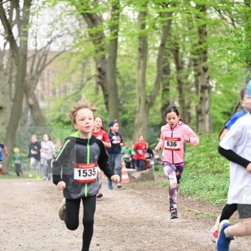 13.04.2025 - Hammer Lauf Dr. Thomas Lammeyer http://msf.ph/oto/7629759 13.04.2025 09:23:39 Laufen 1535, 636 meine-sportfotos.de