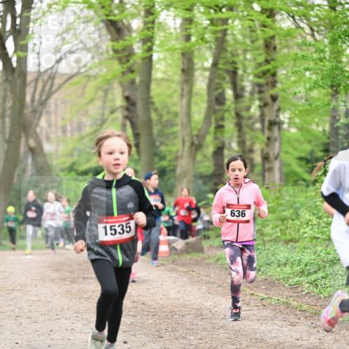 13.04.2025 - Hammer Lauf Dr. Thomas Lammeyer http://msf.ph/oto/7629762 13.04.2025 09:23:40 Laufen 636, 1535 meine-sportfotos.de