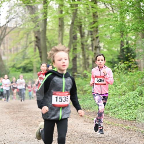 13.04.2025 - Hammer Lauf Dr. Thomas Lammeyer http://msf.ph/oto/7629773 13.04.2025 09:23:40 Laufen 1535, 636 meine-sportfotos.de