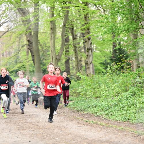 13.04.2025 - Hammer Lauf Dr. Thomas Lammeyer http://msf.ph/oto/7629863 13.04.2025 09:23:44 Laufen 78, 1512, 1370, 1722 meine-sportfotos.de