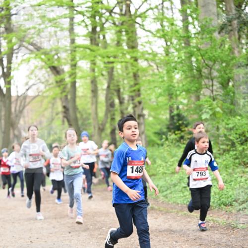 13.04.2025 - Hammer Lauf Dr. Thomas Lammeyer http://msf.ph/oto/7630150 13.04.2025 09:23:56 Laufen 363, 913, 15, 1486, 793 meine-sportfotos.de