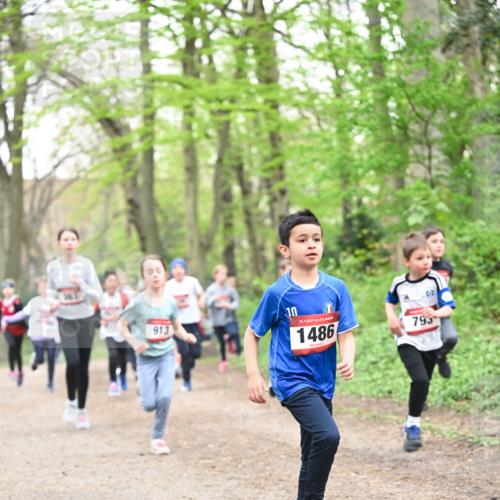 13.04.2025 - Hammer Lauf Dr. Thomas Lammeyer http://msf.ph/oto/7630155 13.04.2025 09:23:56 Laufen 913, 15, 1486, 795 meine-sportfotos.de