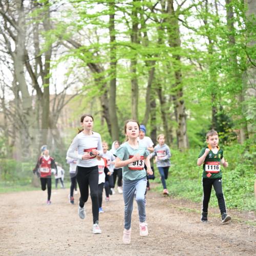 13.04.2025 - Hammer Lauf Dr. Thomas Lammeyer http://msf.ph/oto/7630165 13.04.2025 09:23:57 Laufen 01, 913, 1116 meine-sportfotos.de